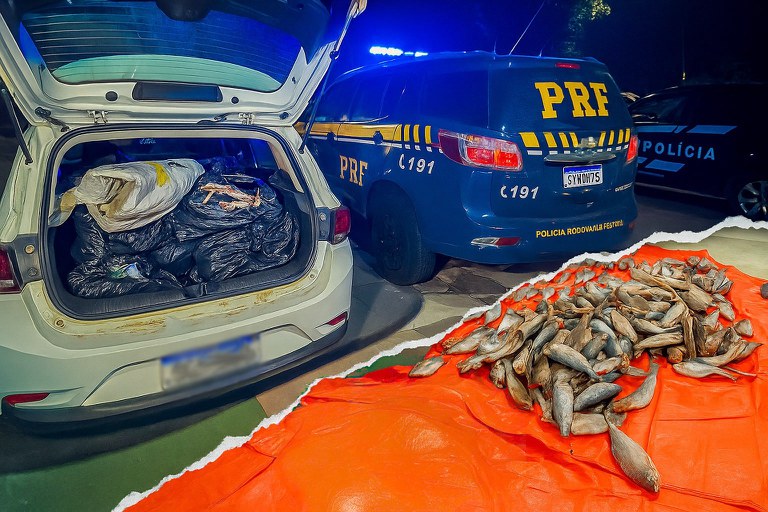 WhatsApp Image 2025-09-15 at 12.21.33.jpeg