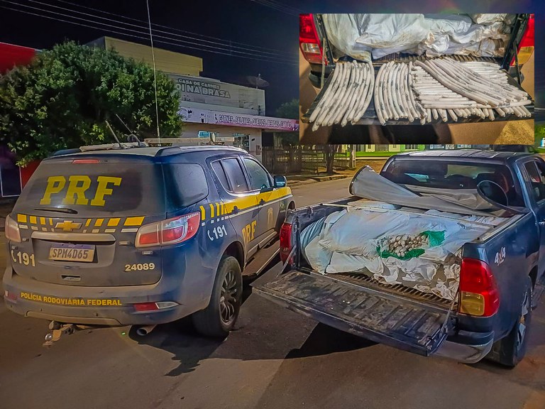 WhatsApp Image 2025-04-13 at 13 (2).jpg