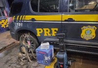PRF apreende skunk escondido em lavadora de pressão em ônibus em Rondonópolis-MT