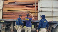 PRF combate crimes ambientais em Rondonópolis/MT durante Operação Fronteira "Insidiae"