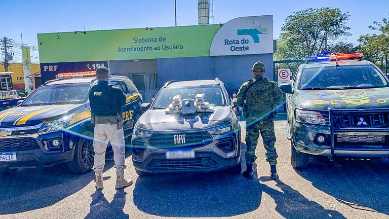 MATERIA SKUNK (1).jpg