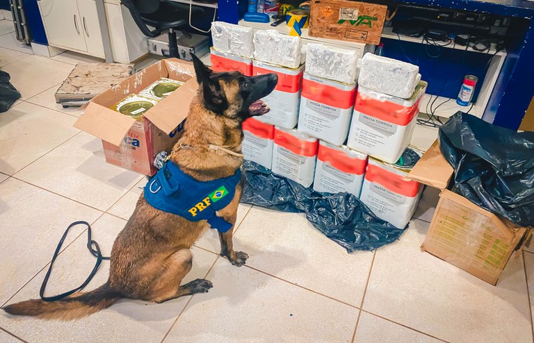 WhatsApp Image 2025-09-25 at 12 (1).jpg