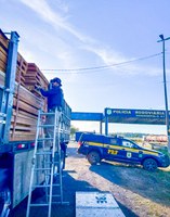 PRF realiza Operação Madeira Nativa III em Rondonópolis MT e apreende mais de 360m³ de madeira ilegal