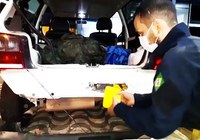 Em ação conjunta com a PF e PM-MT, PRF apreende 29 kg de cocaína em Pedra Preta-MT