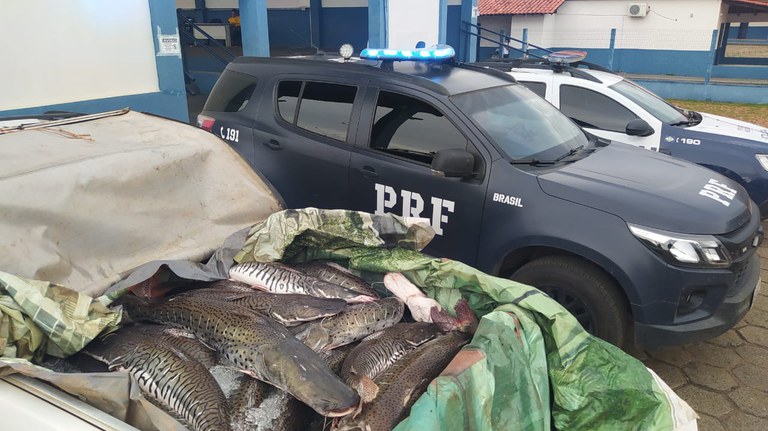 Nossos policiais apreende mercadoria, pescado, transportado em nota fiscal na BR 364