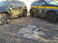 Operação integrada entre PRF e PF resulta em apreensão de Skunk