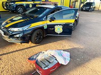 PRF em Rondonópolis/MT apreende 19 kg de maconha sendo transportados em ônibus interestadual