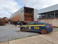 PRF apreende carga de madeira ilegal que estava em veículo com registro de furto
