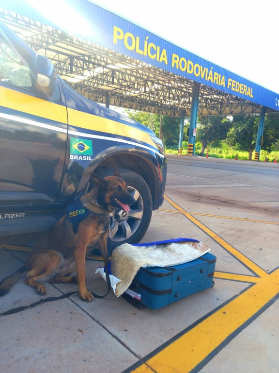 WhatsApp Image 2022-03-03 at 16.28.00.jpeg