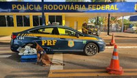 PRF apreende drogas que estavam dentro de ônibus no município de Poconé-MT
