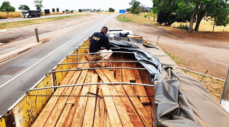 operação indea3.jpg