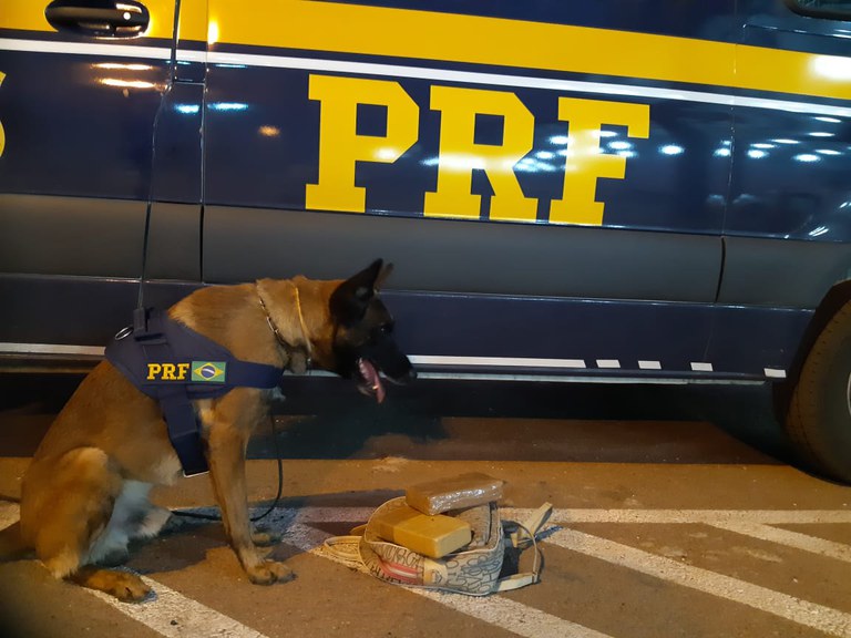 WhatsApp Image 2021-07-07 at 08.10.05.jpeg