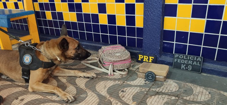 WhatsApp Image 2021-07-07 at 08.10.06.jpeg