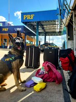 PRF prende jovem de 18 anos por tráfico de drogas