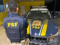 PRF prende passageiro de ônibus que carregava drogas em mochila