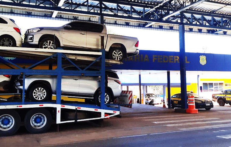 cegonha cáceres2.jpg