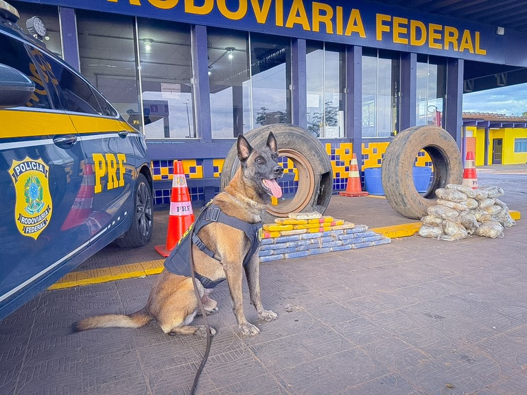 WhatsApp Image 2026-03-01 at 08.jpg