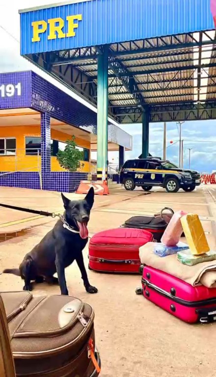 WhatsApp Image 2025-02-03 at 11.01.48.jpeg