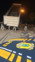 Carga de skunk com destino a Rondonópolis é interceptada pela PRF em Cuiabá/MT