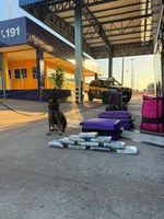 PRF apreende 10 tabletes de maconha em ônibus com destino a Goiânia