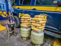 PRF apreende 23 kg de skunk escondidos em botijões de gás durante fiscalização em Rondonópolis (MT)