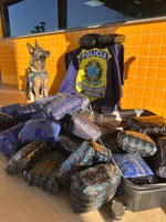 PRF apreende 50 tabletes de skunk durante fiscalização na BR-364