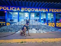 PRF apreende aproximadamente 400 kg de cocaína em Rondonópolis-MT