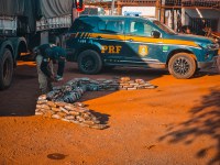 PRF apreende carga de cocaína escondida em pneus de carreta em Várzea Grande (MT)