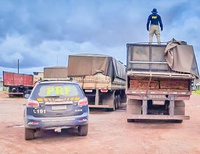 PRF apreende cerca de 47 m³ de madeira nativa transportada ilegalmente em Guarantã do Norte