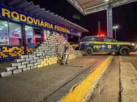 PRF apreende cerca de meia tonelada de skunk em fundo falso de caminhão na BR-364 em Rondonópolis
