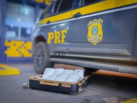 PRF apreende de skunk em ônibus interestadual na BR-364, em Rondonópolis (MT)