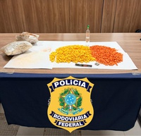 PRF apreende droga em bagagem de passageira na BR-364, em Alto Garças (MT)