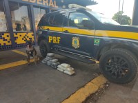 PRF apreende mais de 16 kg de skunk em ônibus interestadual em Rondonópolis (MT)