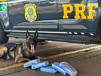 PRF apreende droga transportada como encomenda em ônibus interestadual