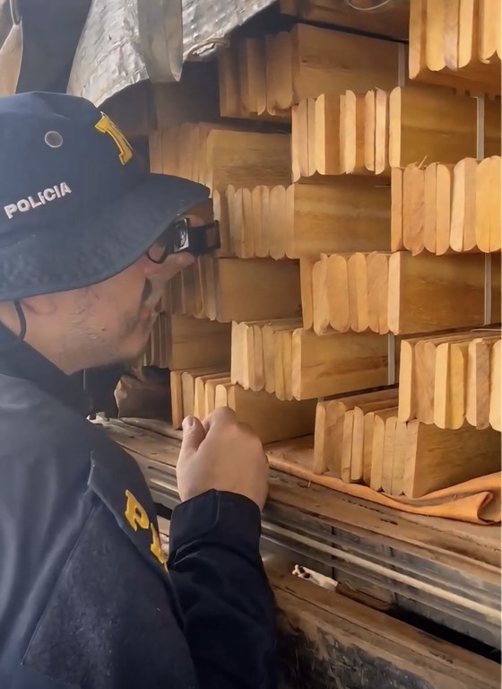 apreensão de madeira