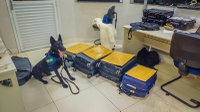PRF apreende mais de 21 kg de cocaína em três ocorrências durante fiscalizações na BR-364 em Mato Grosso