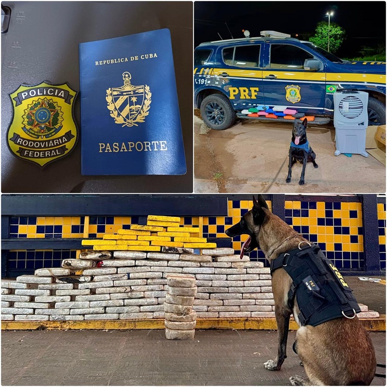 WhatsApp Image 2026-04-28 at 09.16.42.jpeg