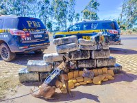 PRF Apreende Carga Milionária de SKUNK