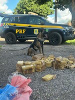 PRF apreende quase 100 quilos de entorpecentes em quatro ocorrências em Mato Grosso