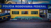 PRF apreende quase meia tonelada de pasta base de cocaína em caminhão-tanque na BR-364