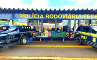 PRF e GCCO-PJC apreendem quase meia tonelada de maconha na BR-163 em Rondonópolis (MT)