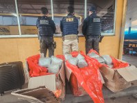 PRF e Receita Federal apreendem skunk em ônibus e prendem casal em Cáceres-MT