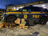 Passageiro de ônibus é flagrado transportando Maconha e Ecstasy dentro de violão na BR 381 em Pouso Alegre (MG)