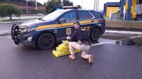 PRF apreende 74 kg de maconha durante operação de combate ao crime na BR 262