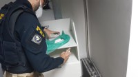 PRF prende homem de 37 anos por tráfico de drogas em Betim (MG)