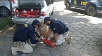 PRF prende pai e filho transportando carregamento de cloridrato de cocaína escondido em extintores de incêndio