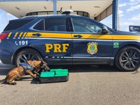 Passageiro de ônibus é flagrado transportando 22 tabletes de maconha em Pouso Alegre (MG)