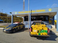 PRF apreende cerca de 366 kg de maconha e recupera veículo com queixa de furto
