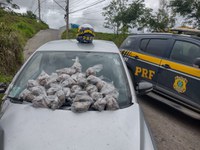 PRF apreende maconha dentro de veículo na BR 040 em Ribeirão das Neves(MG)