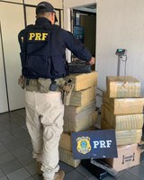 Operação conjunta entre GAECO/BH, PCMG e PRF apreende mais de 230 kg de maconha